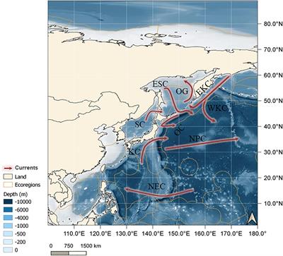 The Environmental Drivers of Benthic Fauna Diversity and Community Composition